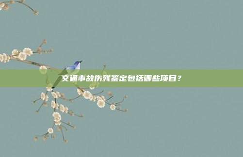 交通事故傷殘鑒定包括哪些項目?