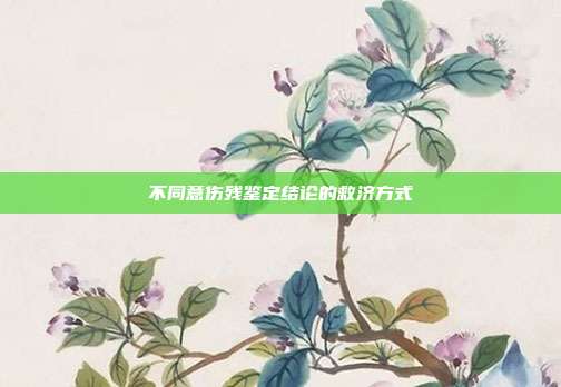 不同意傷殘鑒定結論的救濟方式