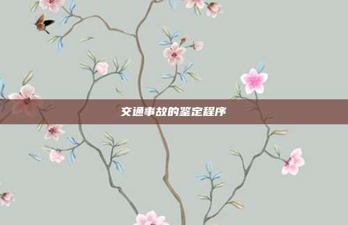交通事故的鑒定程序