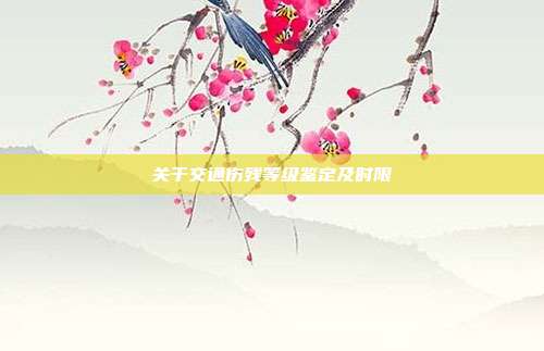 關于交通傷殘等級鑒定及時限