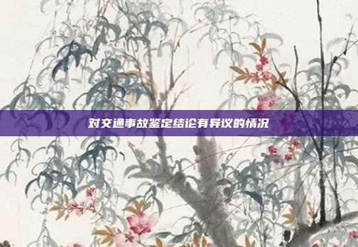 對交通事故鑒定結論有異議的情況