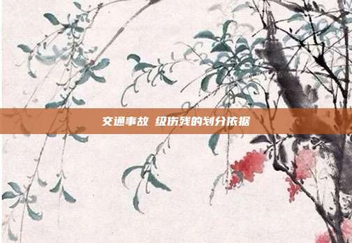 交通事故Ⅱ級傷殘的劃分依據