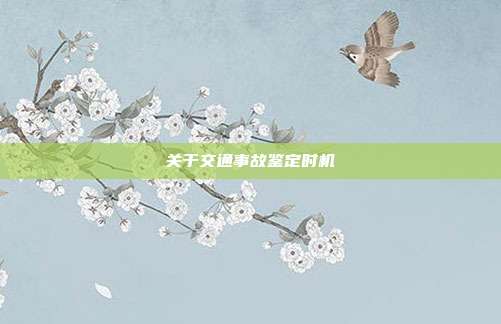 關于交通事故鑒定時機