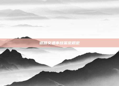 道路交通事故鑒定規(guī)定