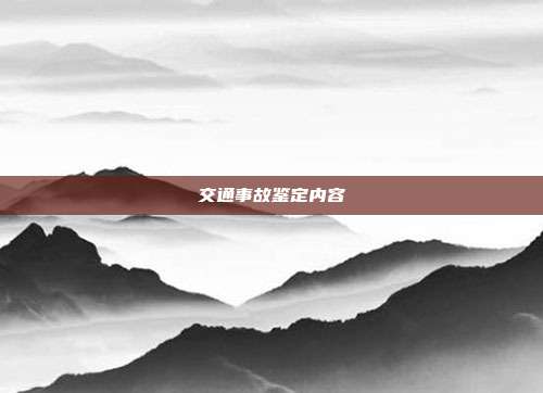 交通事故鑒定內(nèi)容