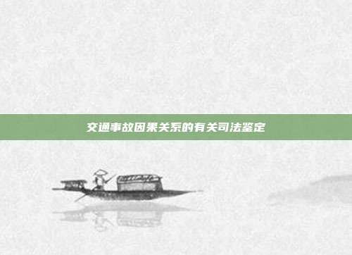 交通事故因果關(guān)系的有關(guān)司法鑒定