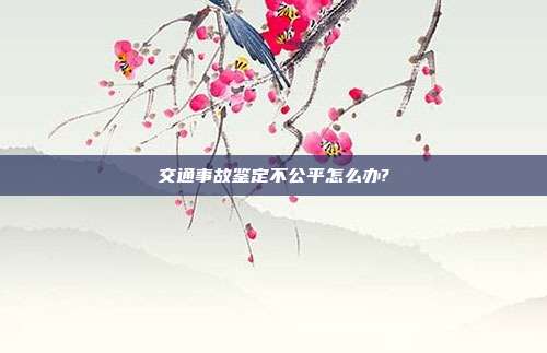 交通事故鑒定不公平怎么辦?