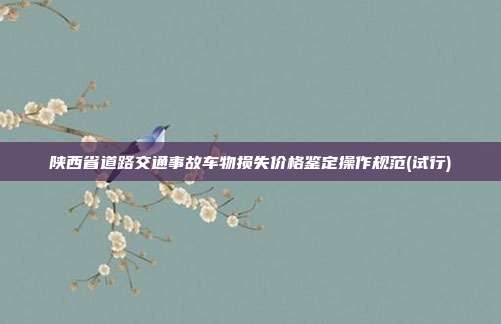 陜西省道路交通事故車物損失價格鑒定操作規范(試行)