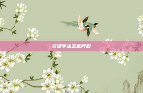 交通事故鑒定問題