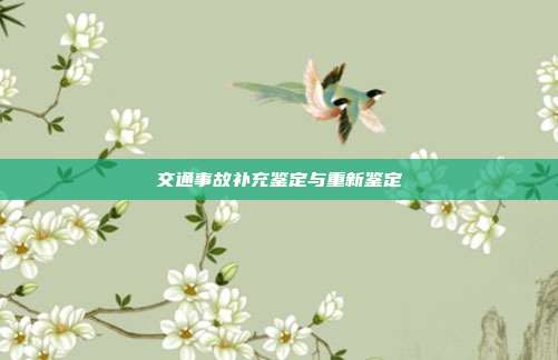 交通事故補充鑒定與重新鑒定