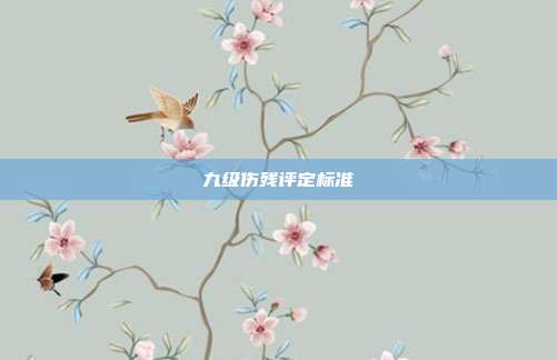 九級傷殘評定標準