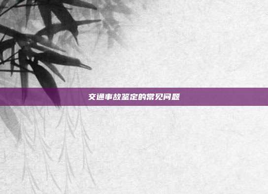 交通事故鑒定的常見問題