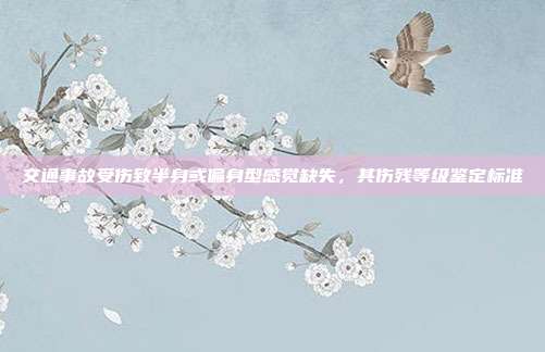 交通事故受傷致半身或偏身型感覺(jué)缺失,其傷殘等級(jí)鑒定標(biāo)準(zhǔn)
