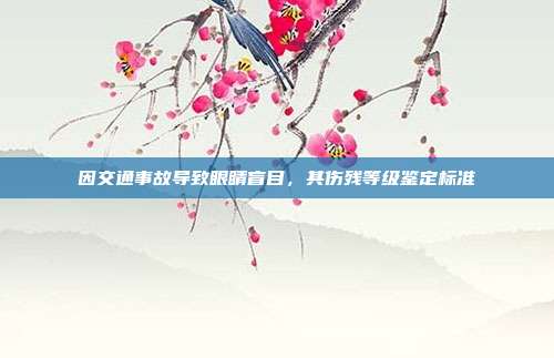 因交通事故導(dǎo)致眼睛盲目,其傷殘等級(jí)鑒定標(biāo)準(zhǔn)