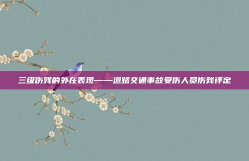三級傷殘的外在表現——道路交通事故受傷人員傷殘評定