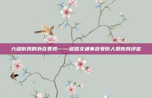 六級(jí)傷殘的外在表現(xiàn)——道路交通事故受傷人員傷殘?jiān)u定