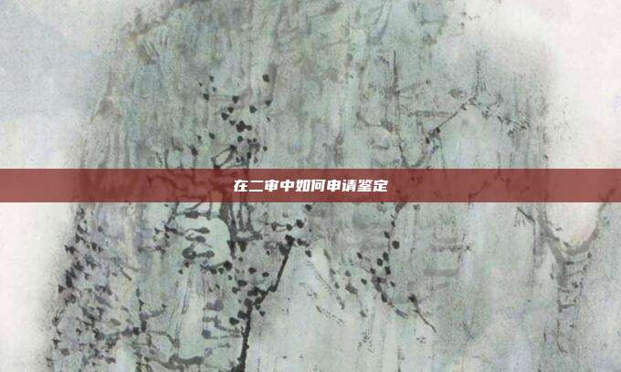 在二審中如何申請鑒定