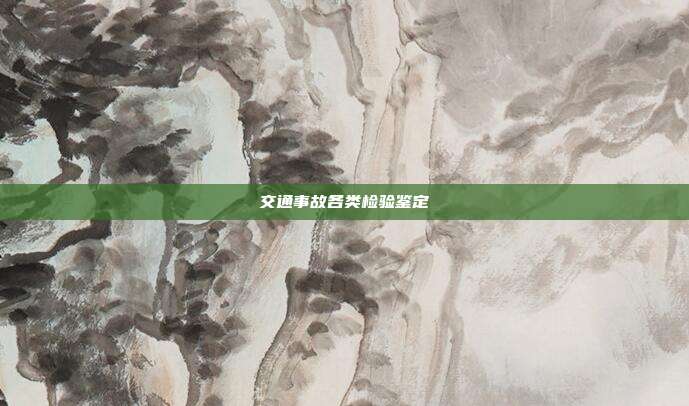 交通事故各類檢驗鑒定