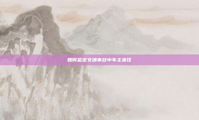如何鑒定交通事故中車主責任