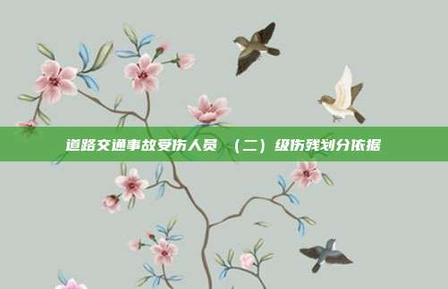 道路交通事故受傷人員Ⅱ(二)級傷殘劃分依據