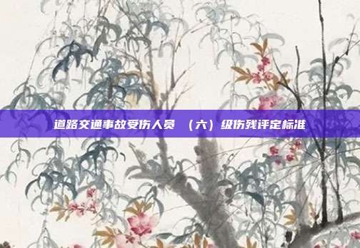 道路交通事故受傷人員Ⅵ(六)級傷殘評定標準
