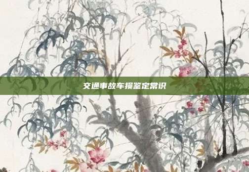 交通事故車損鑒定常識