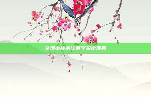 交通事故的法醫學鑒定項目
