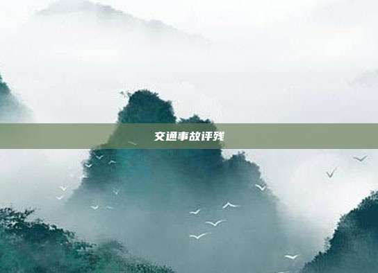 交通事故評(píng)殘