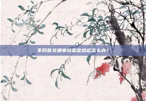 不同意交通事故鑒定結論怎么辦?