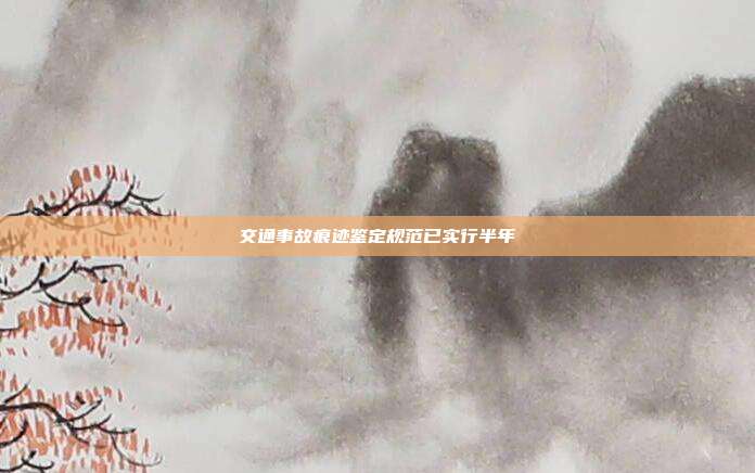 交通事故痕跡鑒定規范已實行半年
