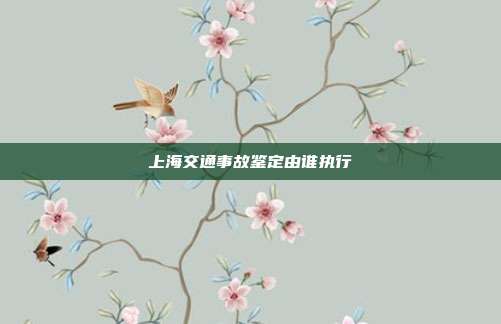 上海交通事故鑒定由誰執行