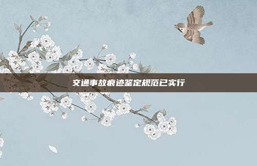 交通事故痕跡鑒定規范已實行