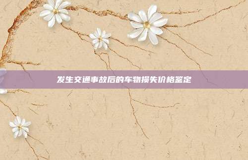 發(fā)生交通事故后的車物損失價(jià)格鑒定