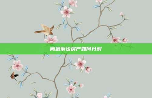 離婚訴訟房產如何分割