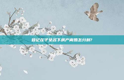 登記在子女名下房產離婚怎分割?