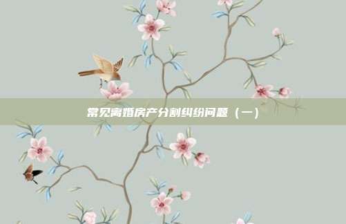 常見離婚房產分割糾紛問題(一)