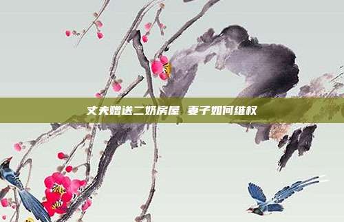 丈夫贈送二奶房屋 妻子如何維權