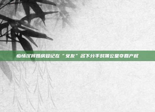 癡情漢將婚房登記在“女友”名下分手對簿公堂奪回產權