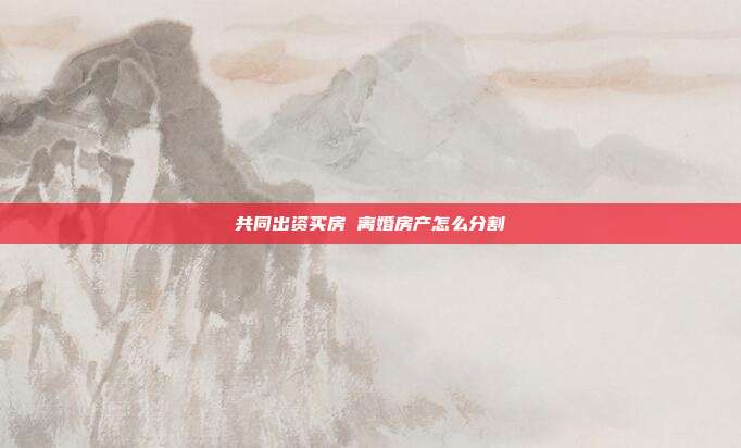 共同出資買房 離婚房產怎么分割