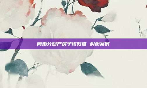 離婚分財產房子該歸誰 糾紛案例