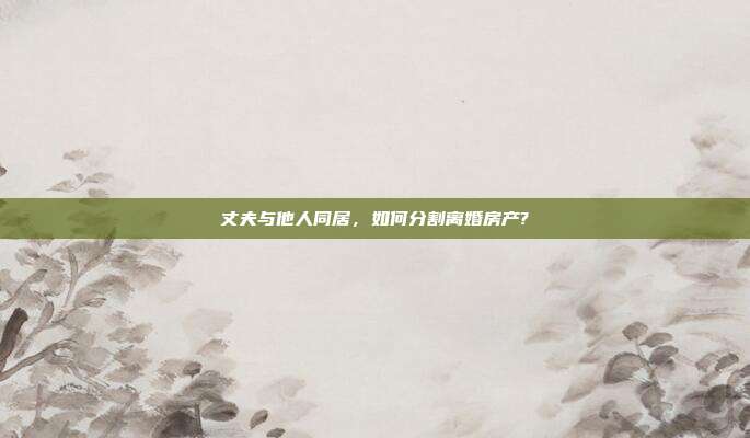 丈夫與他人同居,如何分割離婚房產?