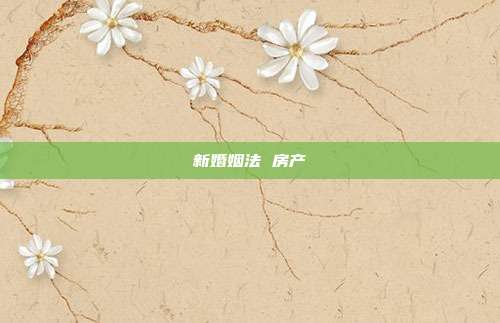 新婚姻法 房產