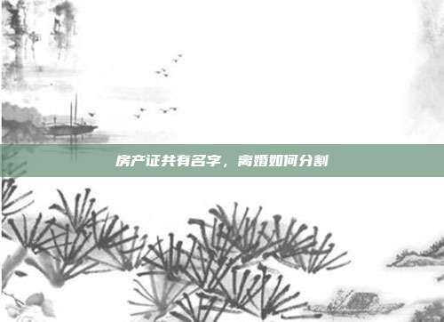 房產證共有名字,離婚如何分割