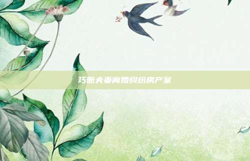巧斷夫妻離婚糾紛房產案