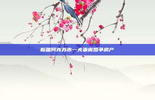 新疆阿克蘇市一夫妻離婚爭房產