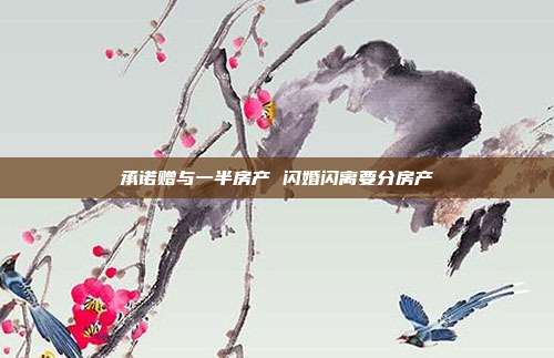承諾贈與一半房產 閃婚閃離要分房產