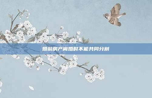 婚前房產離婚時不能共同分割
