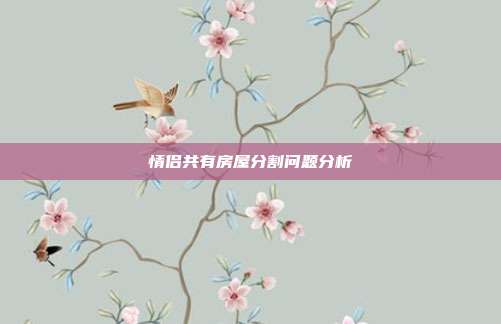 情侶共有房屋分割問題分析