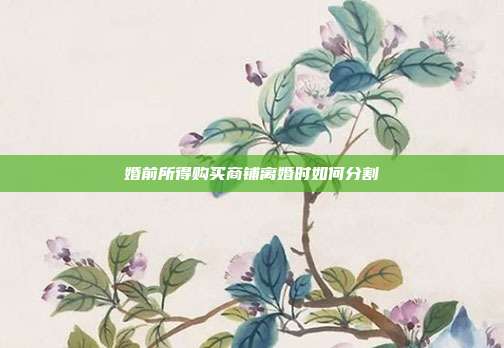 婚前所得購買商鋪離婚時如何分割