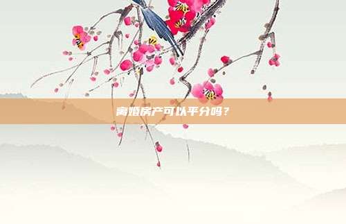 離婚房產可以平分嗎？
